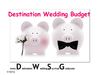 Destination Wedding Budget
