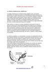 Beneficios de la terapia craneosacral