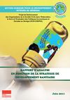 Rapport Annuel
