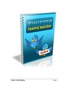 Master The Twitter Traffic