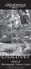 Birds of Morningside Nature Center