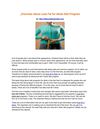 Overview about Lose Fat for Idiots Diet Program