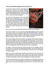 5 Most essential NBA betting tips that you should know