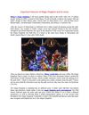 Important features of Magic Kingdom and its areas