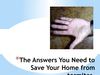 Termites - The Answers You Need to Save Your Home from termites