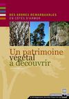 Des arbres remarquables en Côtes d'Armor