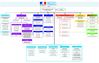 Organigramme de l'Institut français du Liban