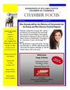 Hawkinsville Chamber January 2012