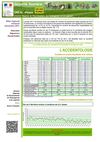 Bilan sécurité routière Alsace décembre 2011