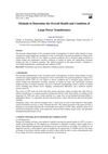 Methods to Determine the Overall Health and Condition of Large Power Transformers