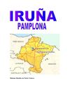 Iruñea