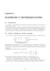Matrices y determinantes 1