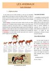 le cheval