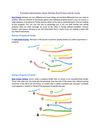 Essential information about Florida Real Estate and its terms