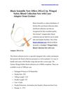 Block Scientific Now Offers 25Gx12 in. Winged Safety Blood Collection Sets with Luer Adapter from Greiner