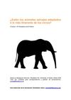 ¿Están los animales salvajes adaptados a la vida itinerante de los circos?