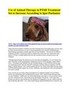 Animal Therapy for PTSD Treatment Becoming More Popular Says Igor Purlantov