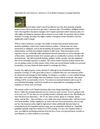 Apartments for rent tucson az -Answers for a Apartment renter's Insurance plan Concerns