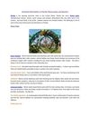 Essential information about Florida Theme parks and Beaches
