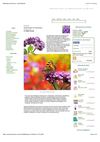 Heliotrope in Perfumery: Soft, Vanillic Notes
