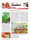 Magazine Gennaio 2012
