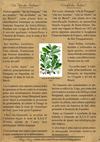 CAA-Y - Le thé des indiens - O chá dos índios 