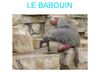babouin maxence quentin 5b groupe2 