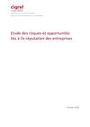 Etude des risques et opportunités liés à l’e-réputation des entreprises - CIGREF