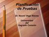 PLANFICACION DE PRUEBAS. 2ppt