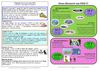 Soulac-sur-Mer Programme d'Animations Mars 2012