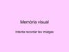Memòria visual