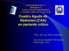 C.A.A 2012
