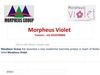 Morpheus Violet Noida: 9910790869: Morpheus Violet sector 86 Noida: Residential Project Noida Price: Morpheus Violet:...