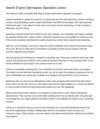 Search Engine Optimisation Specialist London (20)
