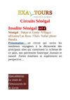 Insolite Sénégal 645€