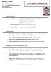 Curriculum vitae exemple N-3