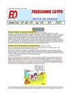 FEDECHIMIE CGTFO - SEMAINE 10