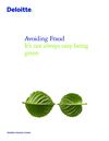 Avoiding Fraud It’s not always easy being green