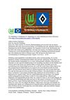 VfL Wolfsburg vs Hamburger SV Bundesliga 23.3.2012 SelMcKenzie Selzer-McKenzie