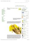 A Nosegay of Floral Fragrances for Spring