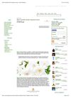 Maria Candida Gentile: Perfumes from the Heart (Fragrantica)