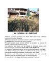 ricerca con foto