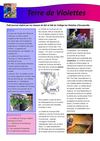 Terre de Violettes