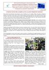 Fourth World European Newsletter January 2012