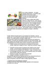 Reportage d'ordinadors 