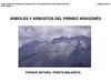 Pirineo aragones