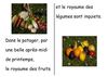 Pas de pitié pour les F. et les L.