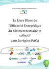 Le Livre Blanc de l'Efficacité Energétique du Bâtiment tertiaire et collectif dans la région PACA