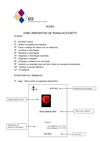 GUIÃO trabalho escrito revisto[1]