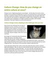 Culture Change How do you change an entire culture at once